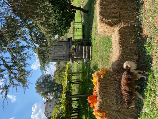 La maison de Cristina