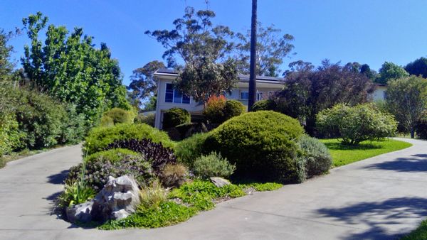 Peter's house