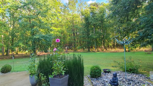 Logis Saponine, au calme dans le Val de Loire