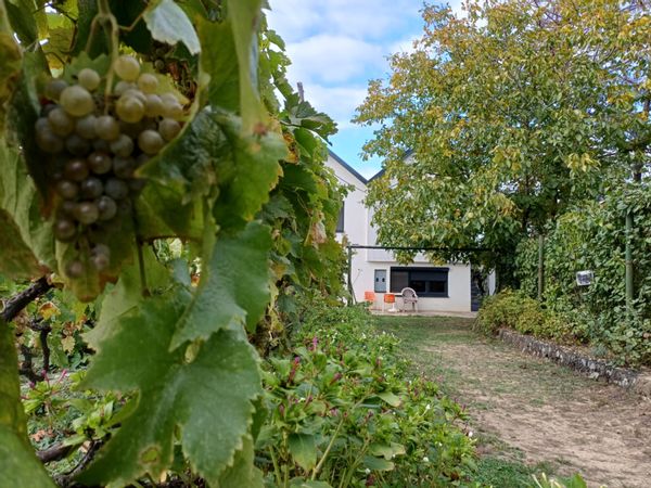 La maison de Dragana