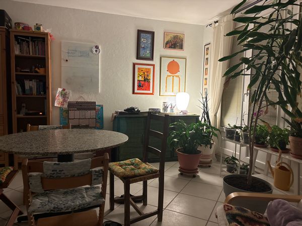 Daniele's house