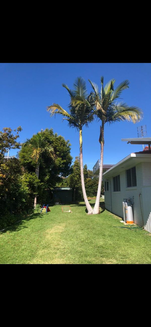 The Amer Sanctuary House