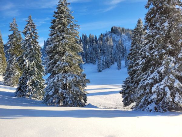 Bernex station de haute Savoie ❄️
Bel appartement au calme et tout équipé