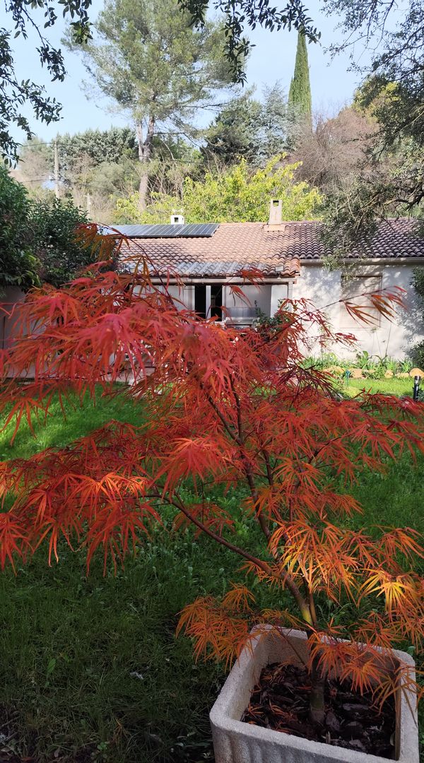 LAURENCE's house