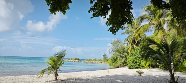 Marie Christine's house