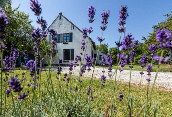 Cottage in Baexem