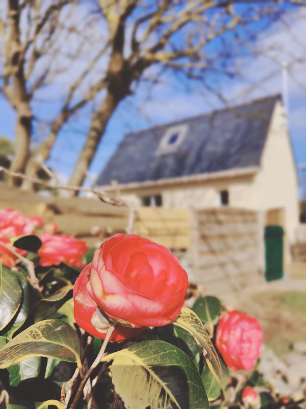 "La Petite Maison" à l île de Sein