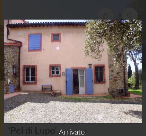 Nicola's house