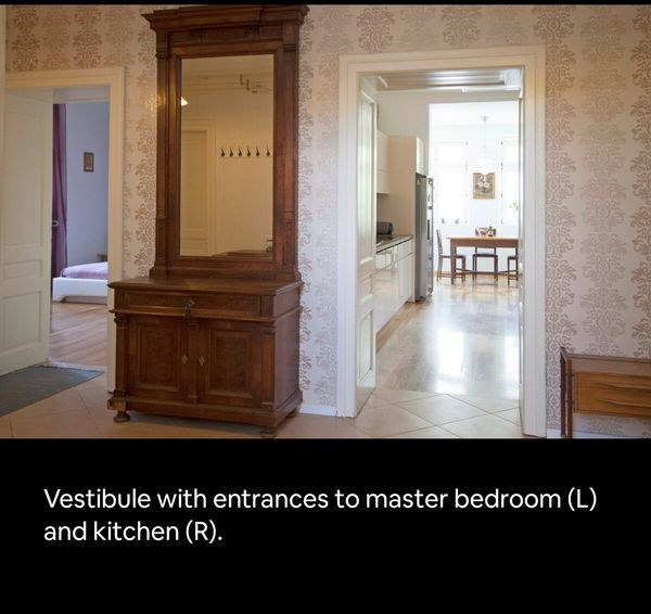 Luxury apartment in the center of Ljubljana