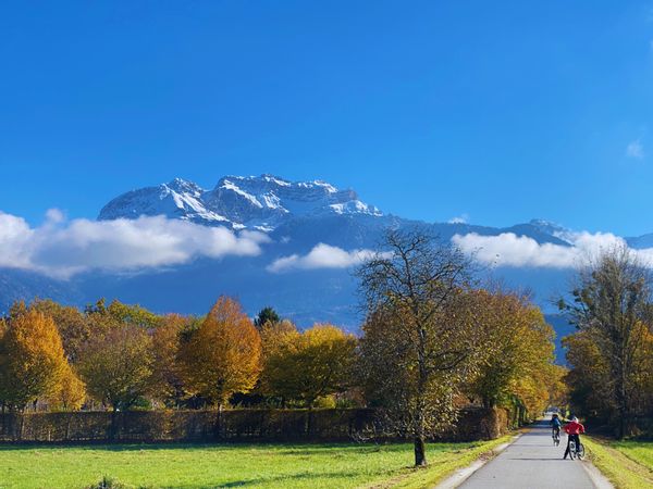 SeeGold à 200 mètres du lac d'Annecy en bord de piste cyclable.