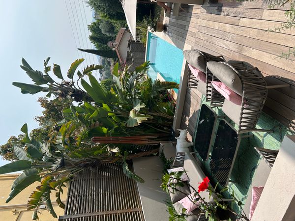 Calme, détente à quelques minutes de la Croisette à Cannes ?  Notre studio avec piscine vous attend