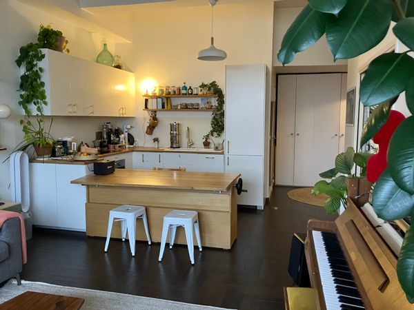 Lucie's house