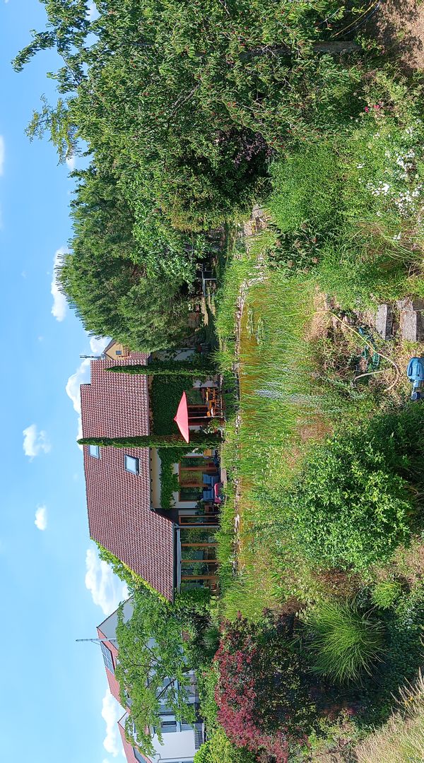 Casa de Andrea