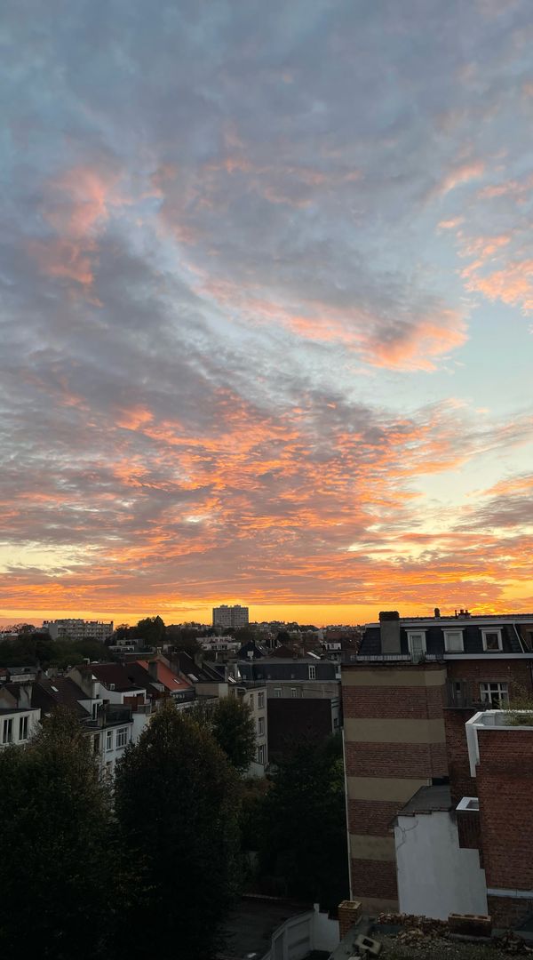 Stunning Views at the Heart of Brussels