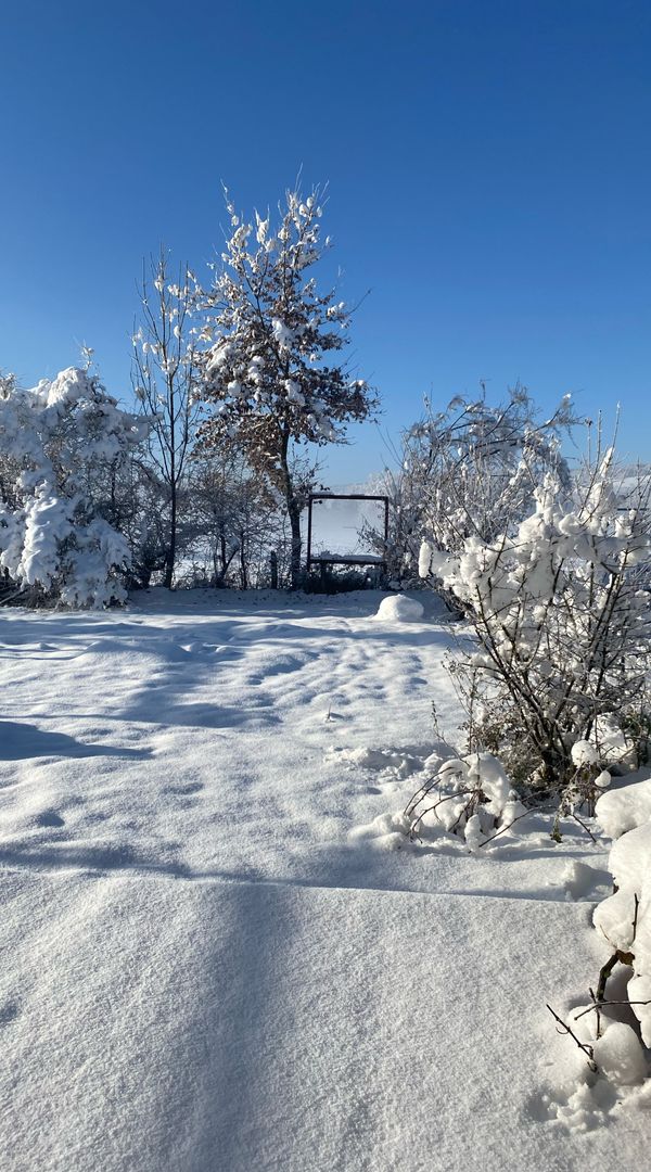 Maison 3 chambres jacuzzi et piscine extérieure au cœur de la Chartreuse, vue montagne