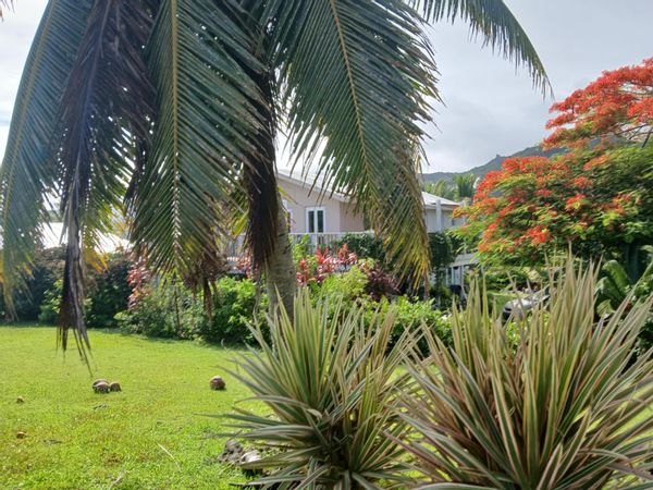Nikao home with sea view
