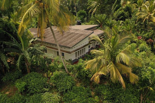 sinharaja tranquil homestay