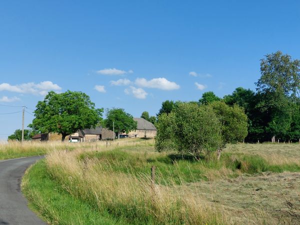 La maison de Aranea