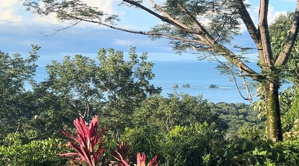 Casa Selvatica. -  Wildlife Happiness