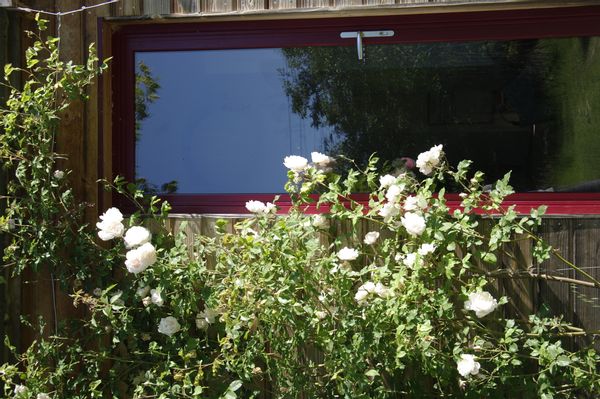 Bords de Loire : maison et jardin arboré - Maureen et cie