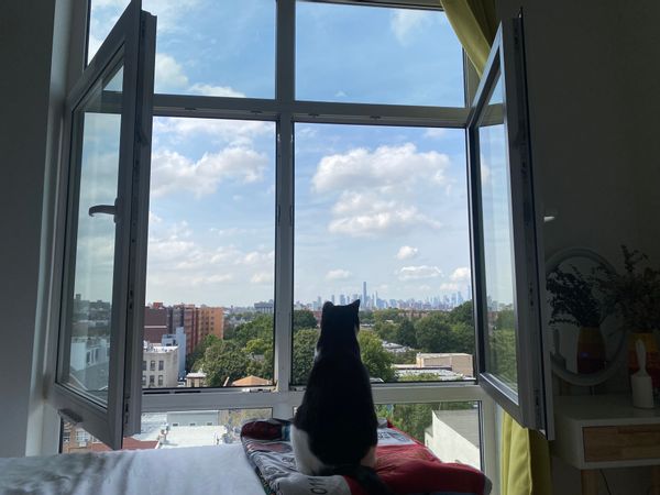 Brooklyn Escape