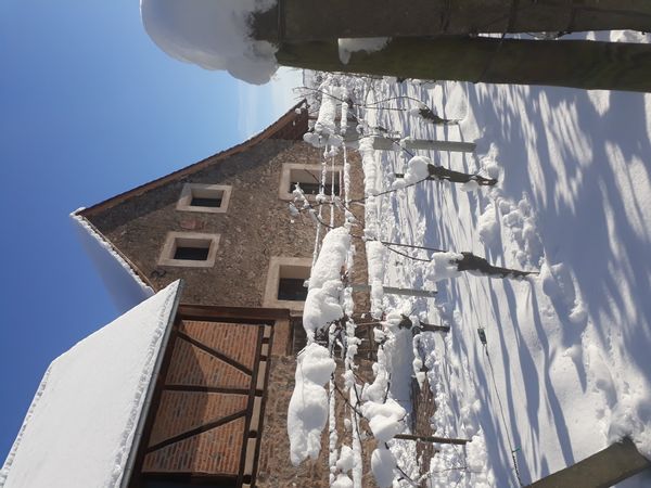 Grange rénovée au centre de l'Alsace