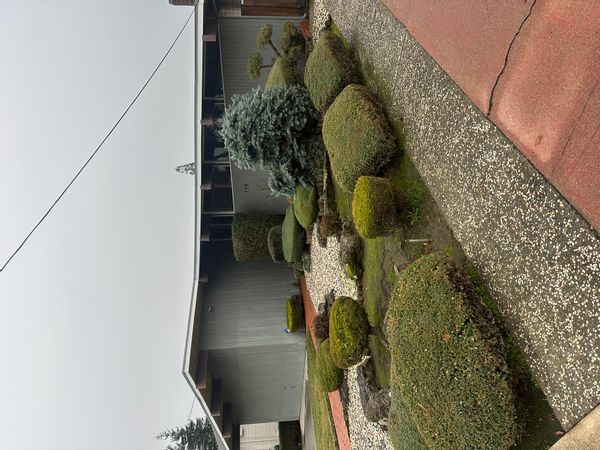 La maison de Alberto