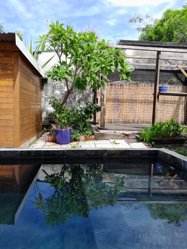 Yannick & Pervenche dans le Sud Sauvage