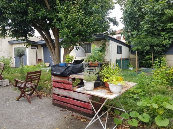 Notre petite jungle urbaine