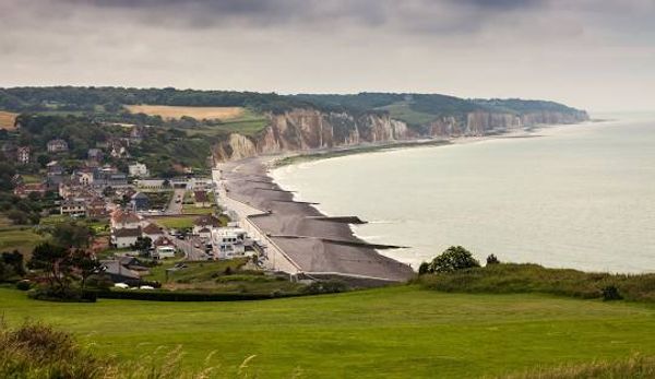 Un nid sous les toits de Dieppe