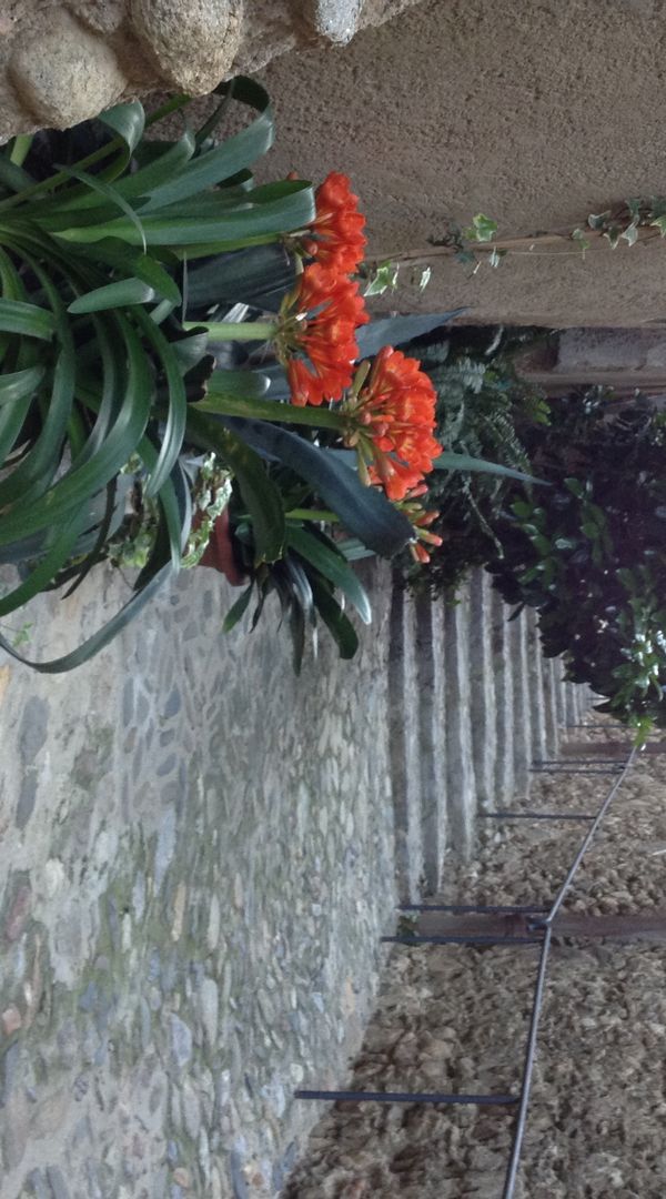 La maison de Josefina