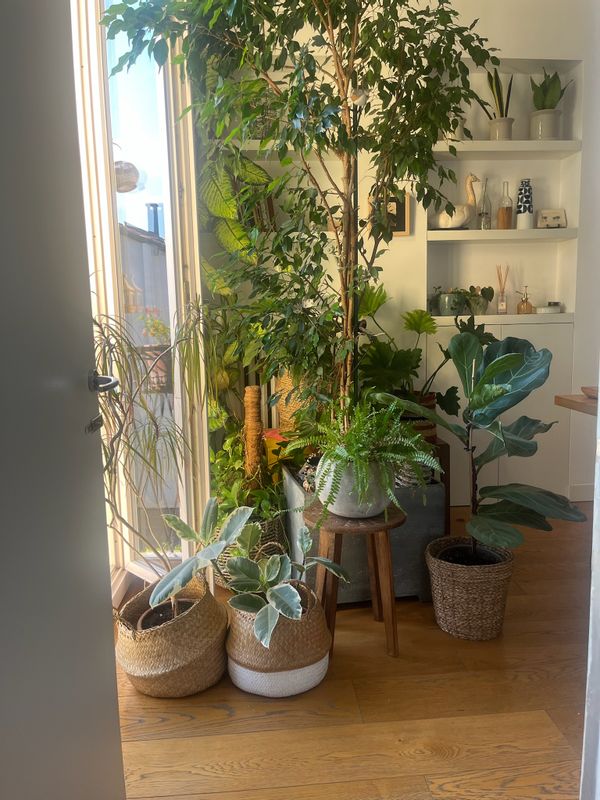La casa di Olivia