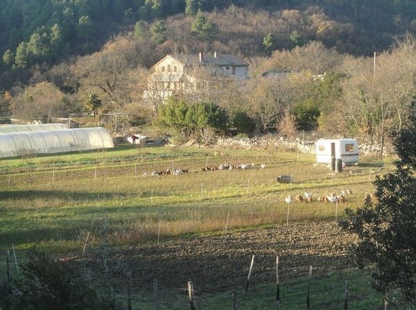 Mas dans les Cévennes