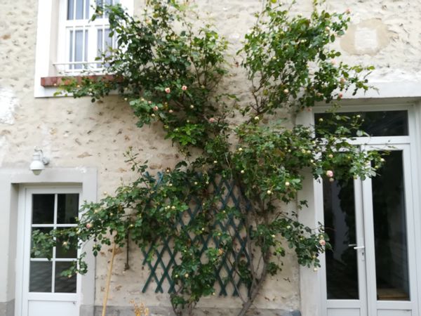 Maries hus