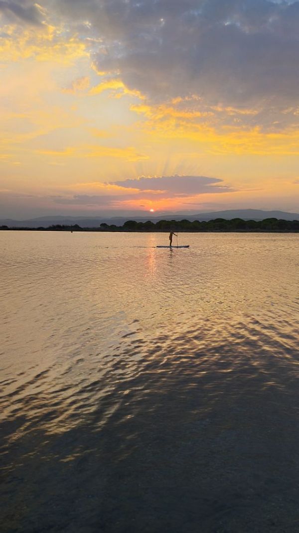 Évasion et coucher de soleil au bord de l'étang