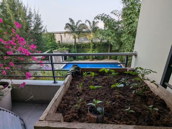 Camille's house
