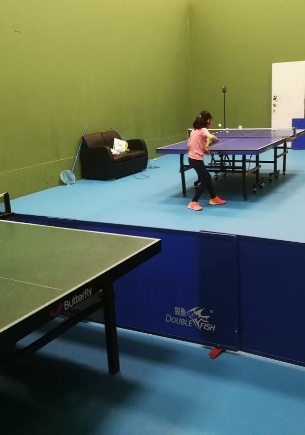 Paul's house and table tennis club