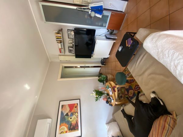 Tiny, luminous apartment with a huge terrace in the heart of Milan!