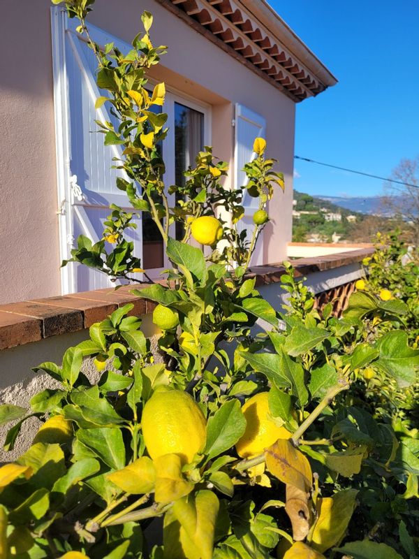 Maison à Mandelieu-la-Napoule