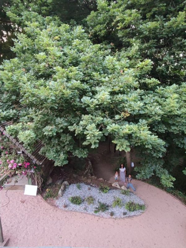 Vic & Math vous accueillent à Rouen