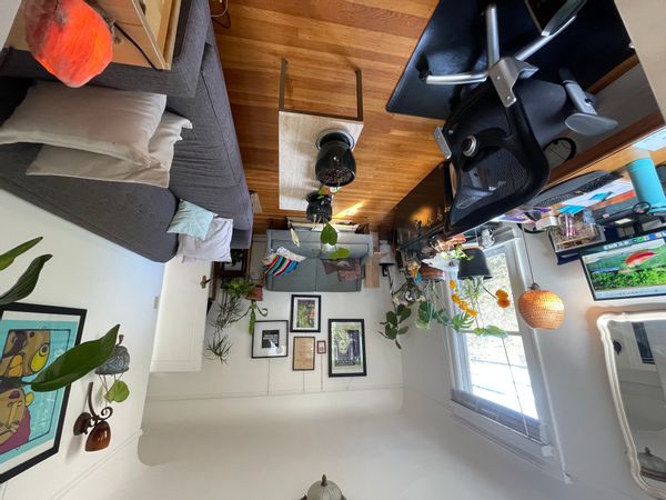 Berkeley - 15 min from SF - central, cozy, bright!