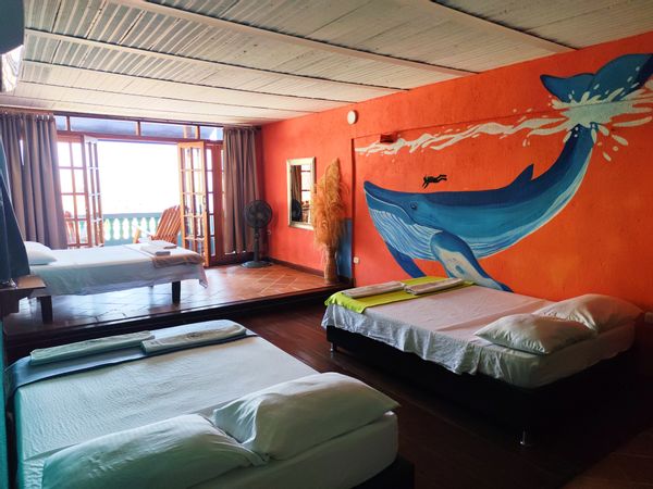 Appartement au cœur des Caraïbes avec vue sur la mer – Tayrona Colors Hostel