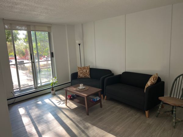 Negar's private room