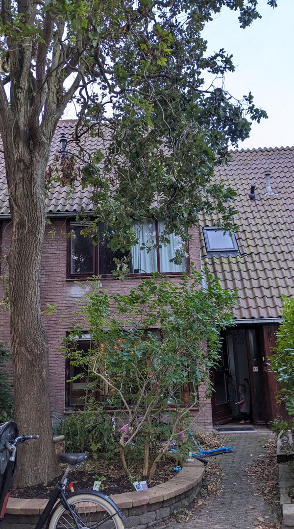 La maison de Roxanne