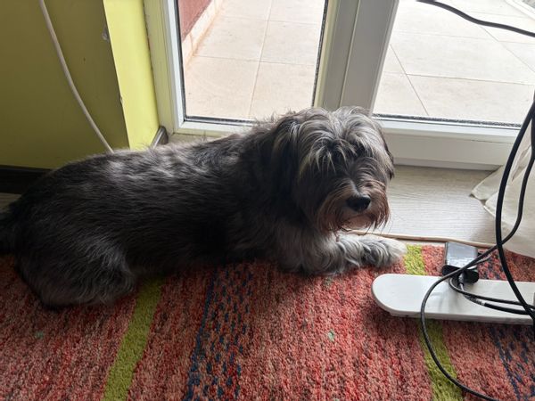 Raluca's house just outside Bucharest