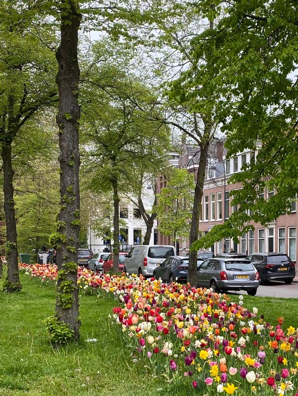 Huis in Haarlem