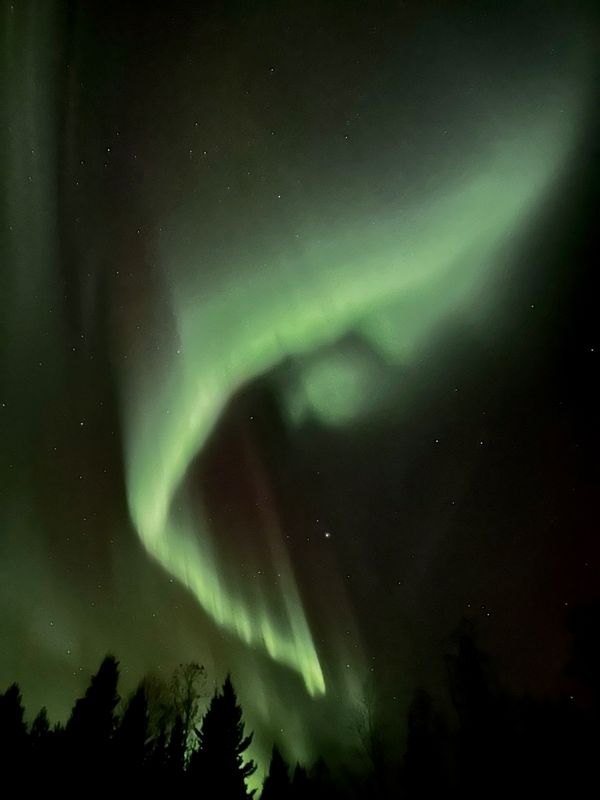 Hem i Skellefteå