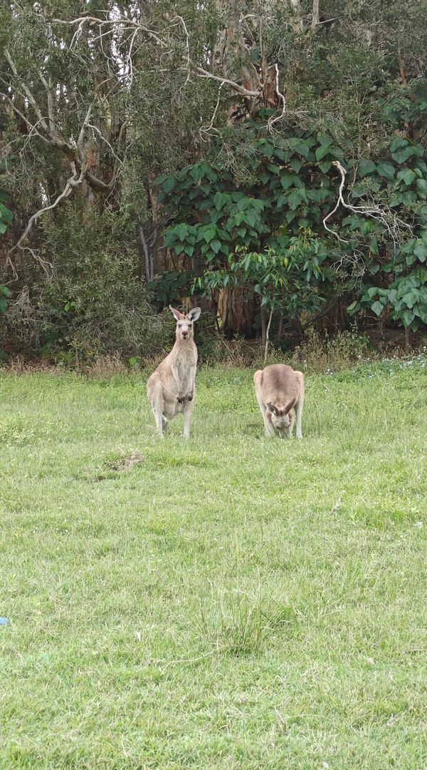 La maison de Padraig