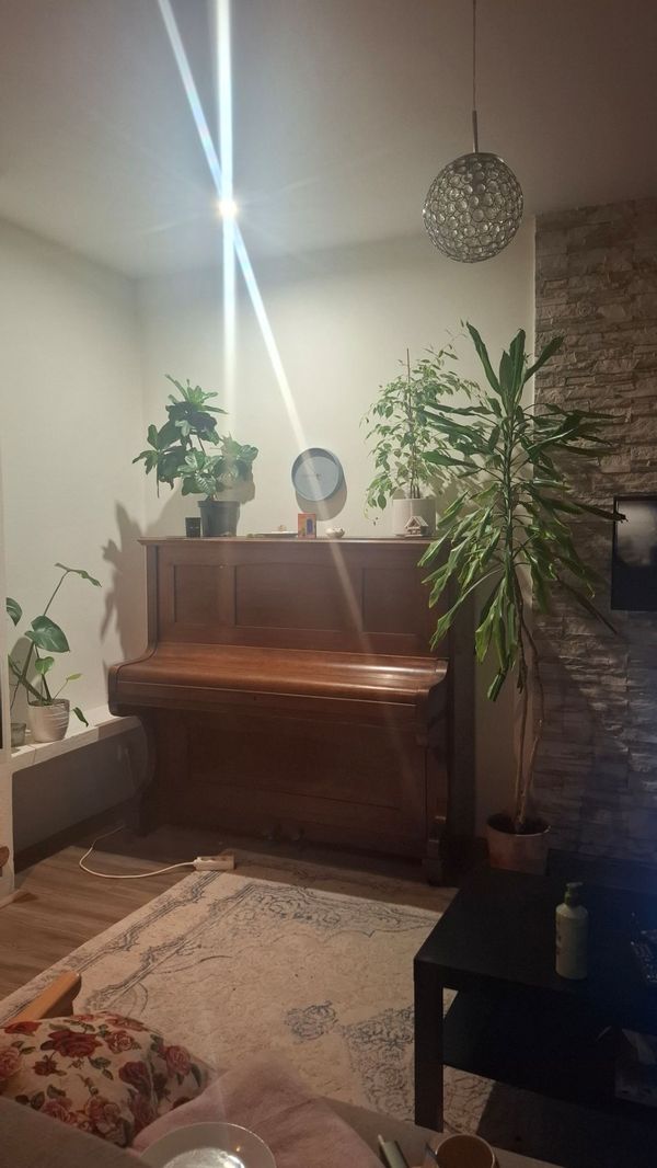 misha's cozy apartment