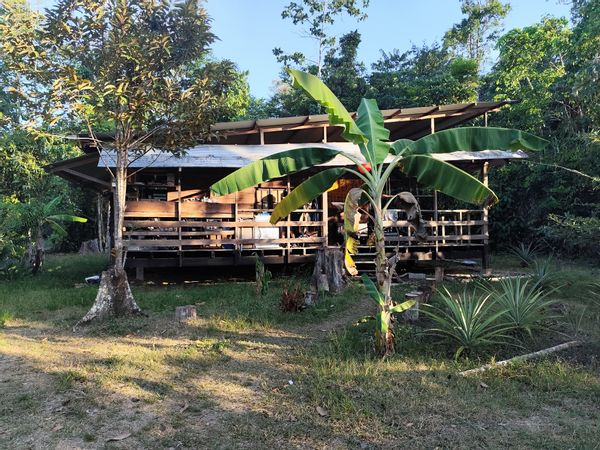 Grand Carbet dans un écrin de verdure, parfait pour les amoureux de la nature !